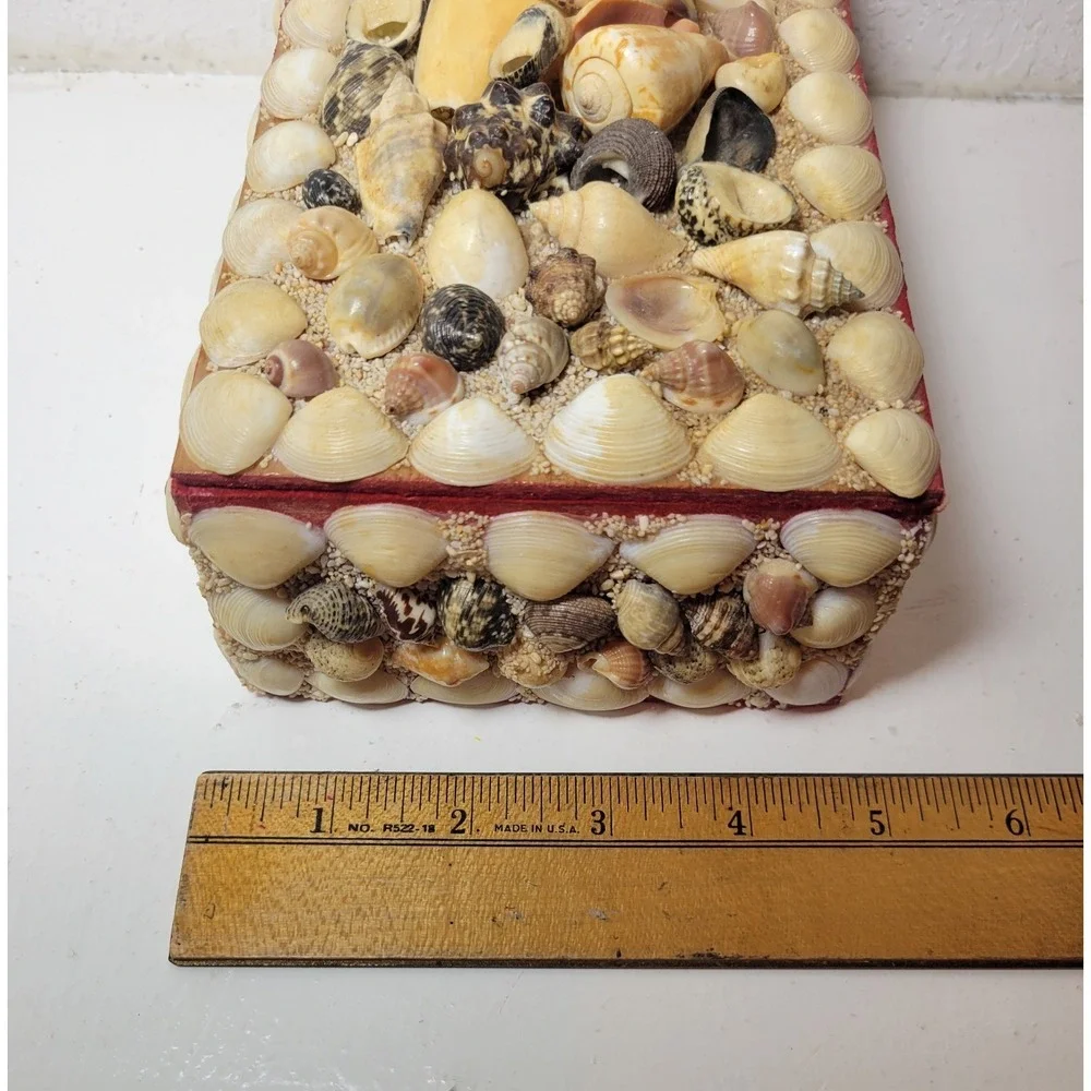 Vintage‎ Sea Shell  Trinket Jewelry Red  Felt Lining